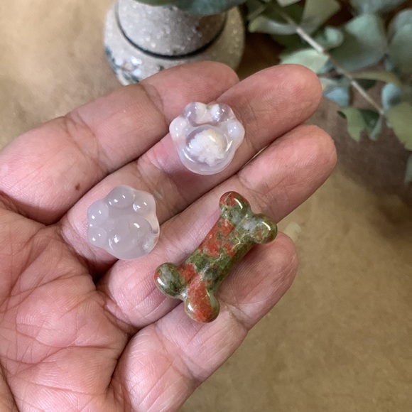 Unakite Bone and Flower Agate Paws Bundle - Picture 6 of 7